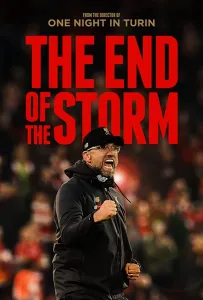 Конец Шторма (фильм 2020)