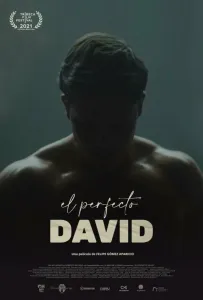 Идеальный Давид (фильм 2021)